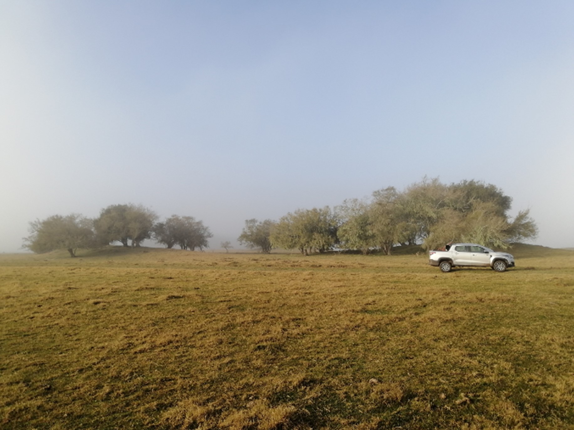Rustig open veld met warm daglicht en uitgestrekte ruimte voor afsluitende beweging